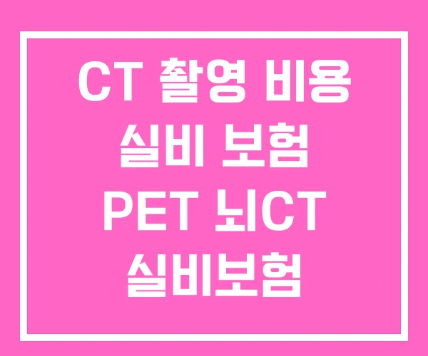 CT 촬영 비용 실비 보험 PET 뇌CT 실비보험
