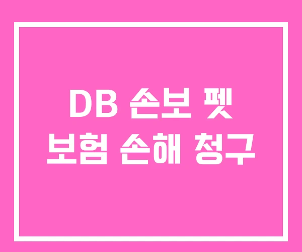 DB 손보 펫 보험 손해 청구