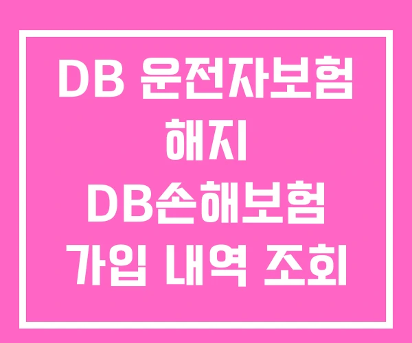 DB 운전자보험 해지 DB손해보험 가입 내역 조회
