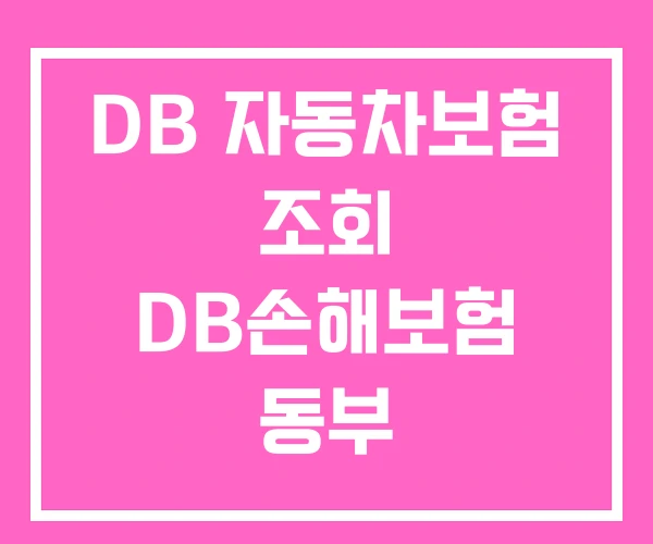 DB 자동차보험 조회 DB손해보험 동부 DB 자동차보험 조회 DB손해보험 동부