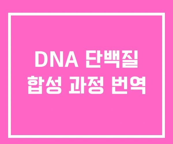 DNA 단백질 합성 과정 번역