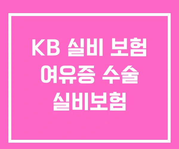 KB 실비 보험 여유증 수술 실비보험