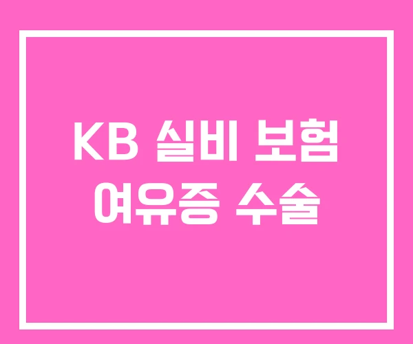 KB 실비 보험 여유증 수술