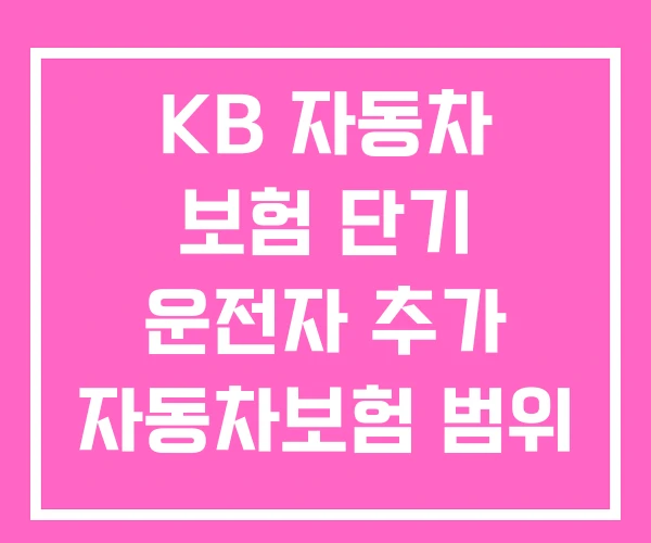 KB 자동차 보험 단기 운전자 추가 자동차보험 범위 변경