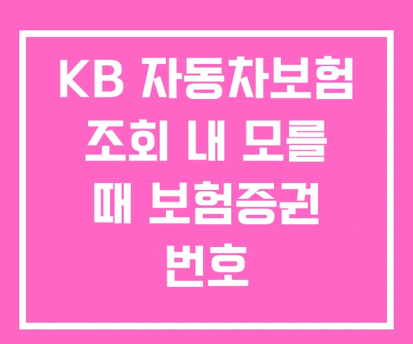 KB 자동차보험 조회 내 모를 때 보험증권 번호