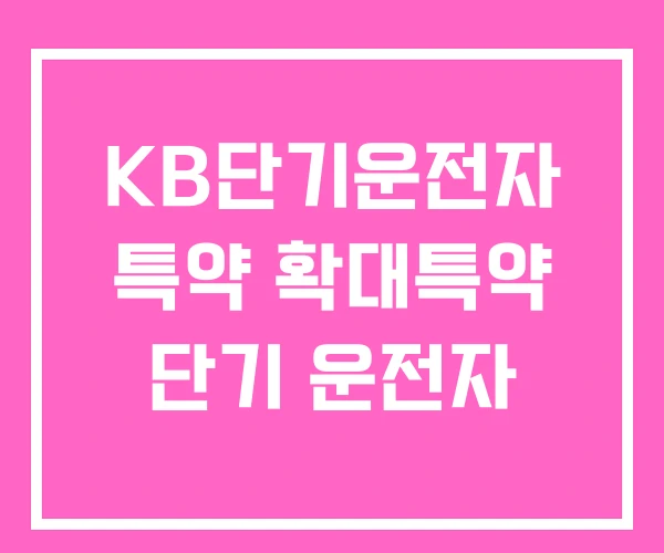 KB단기운전자 특약 확대특약 단기 운전자 KB단기운전자 특약 확대특약 단기 운전자