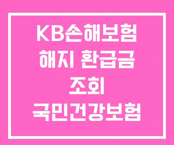 KB손해보험 해지 환급금 조회 국민건강보험 내보험 찾아 줌