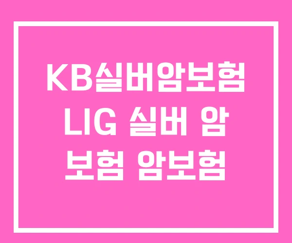 KB실버암보험 LIG 실버 암 보험 암보험