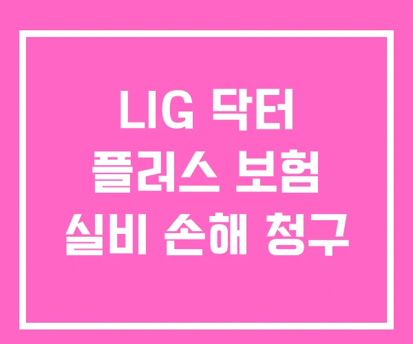 LIG 닥터 플러스 보험 실비 손해 청구