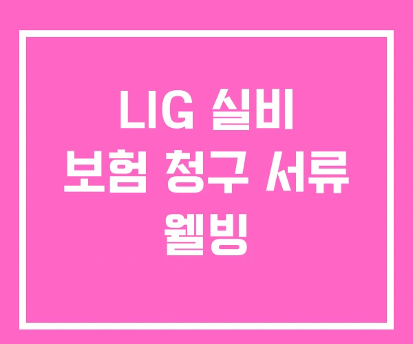 LIG 실비 보험 청구 서류 웰빙