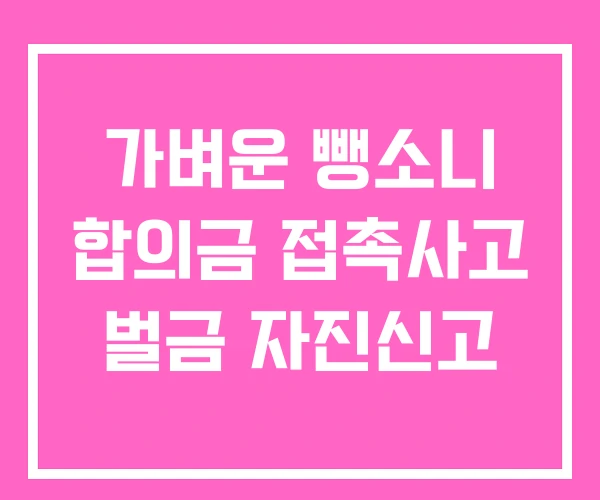 가벼운 뺑소니 합의금 접촉사고 벌금 자진신고