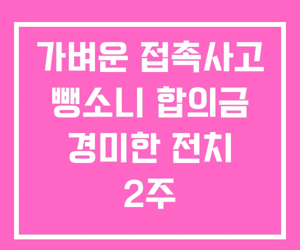 가벼운 접촉사고 뺑소니 합의금 경미한 전치 2주