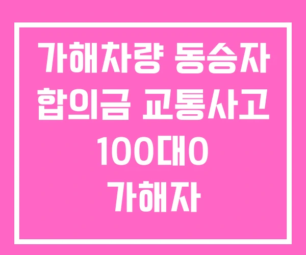 가해차량 동승자 합의금 교통사고 100대0 가해자
