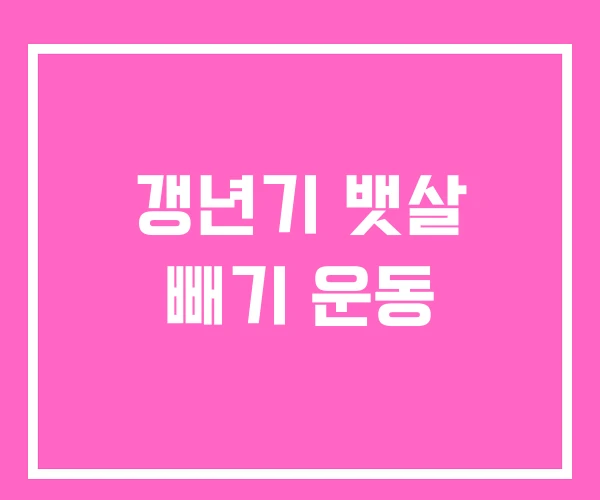 갱년기 뱃살 빼기 운동 갱년기 뱃살 빼기 운동