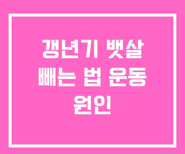 갱년기 뱃살 빼는 법 운동 원인 갱년기 뱃살 빼는 법 운동 원인