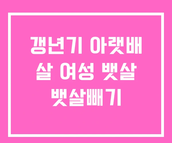 갱년기 아랫배 살 여성 뱃살 뱃살빼기 갱년기 아랫배 살 여성 뱃살 뱃살빼기