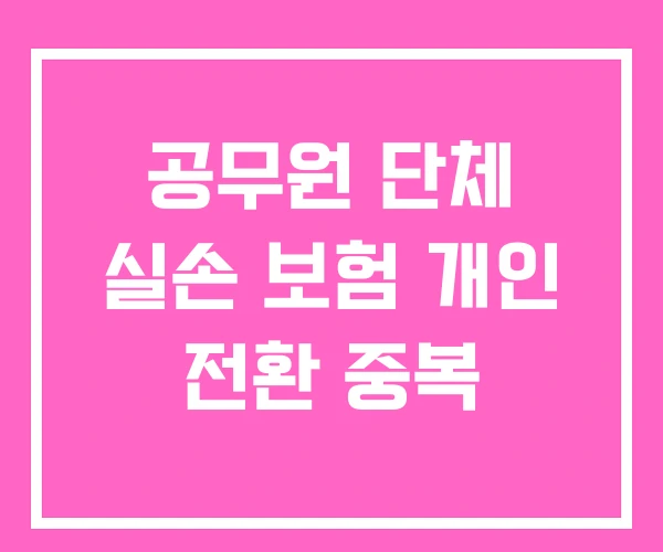 공무원 단체 실손 보험 개인 전환 중복 공무원 단체 실손 보험 개인 전환 중복