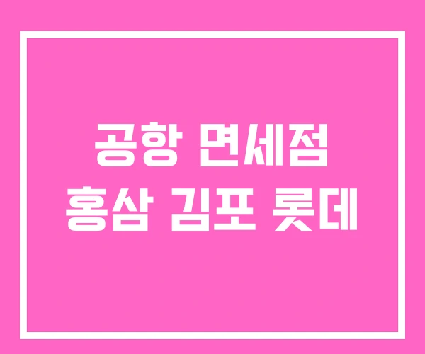공항 면세점 홍삼 김포 롯데