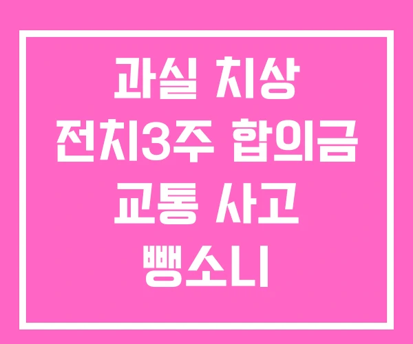 과실 치상 전치3주 합의금 교통 사고 뺑소니 과실 치상 전치3주 합의금 교통 사고 뺑소니