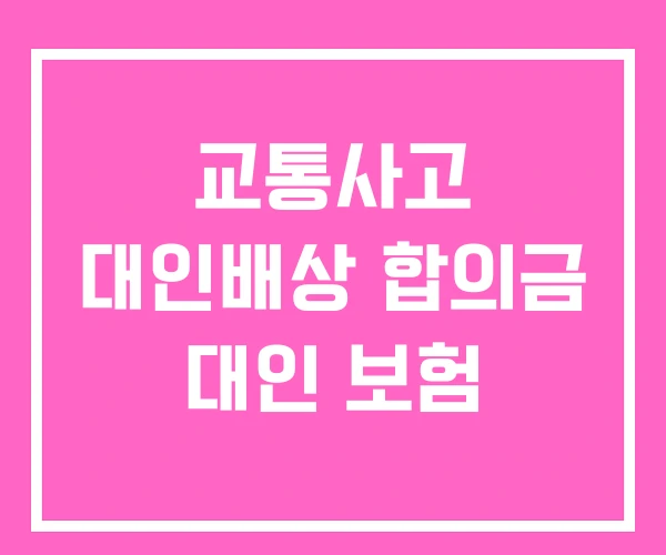 교통사고 대인배상 합의금 대인 보험