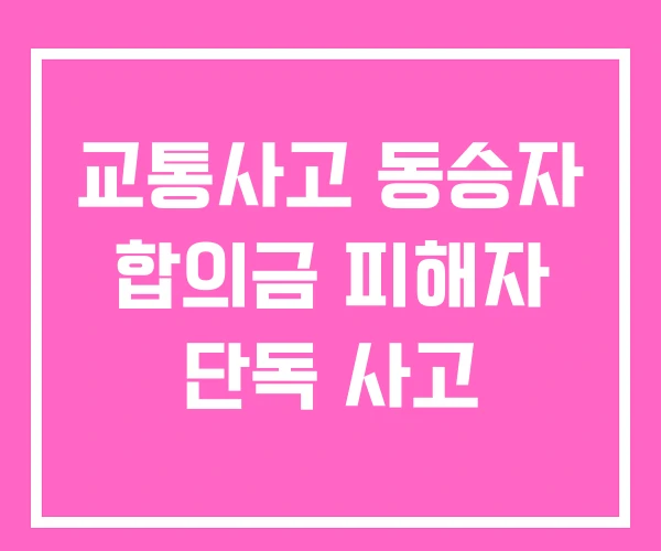 교통사고 동승자 합의금 피해자 단독 사고