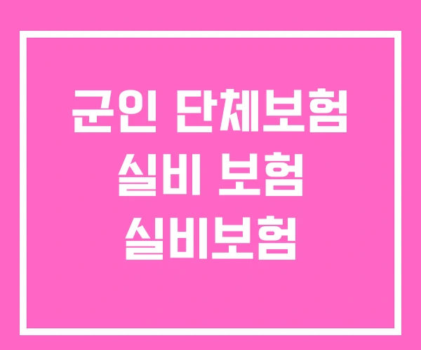 군인 단체보험 실비 보험 실비보험