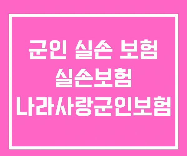 군인 실손 보험 실손보험 나라사랑군인보험