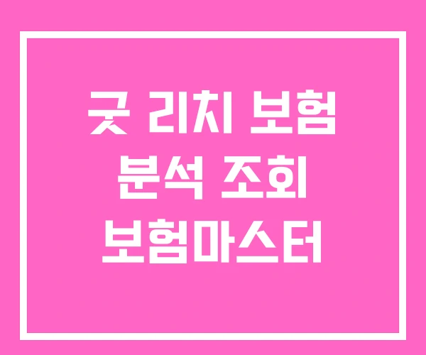 굿 리치 보험 분석 조회 보험마스터