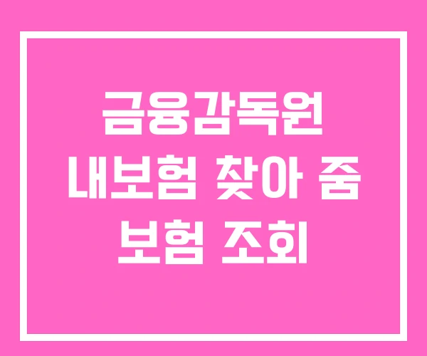 금융감독원 내보험 찾아 줌 보험 조회