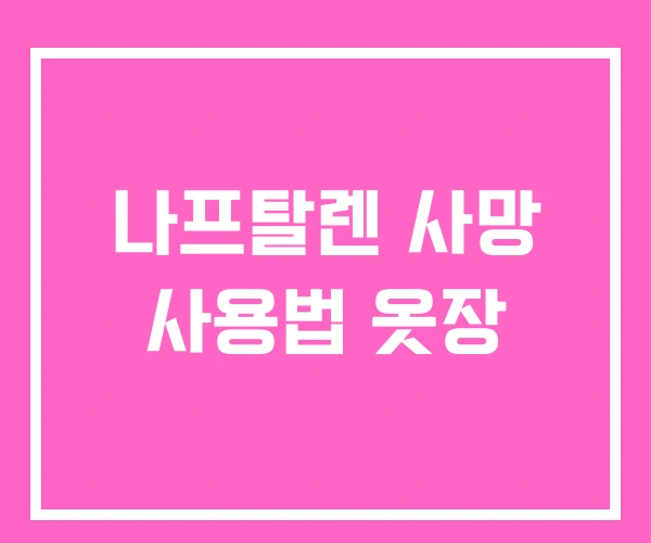 나프탈렌 사망 사용법 옷장