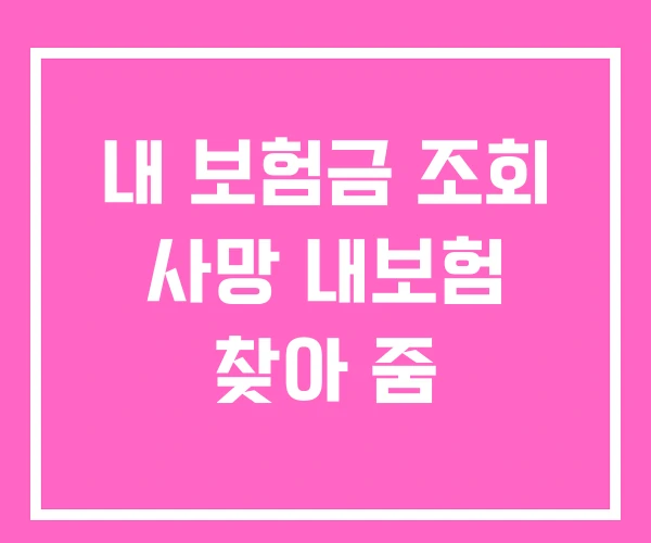 내 보험금 조회 사망 내보험 찾아 줌