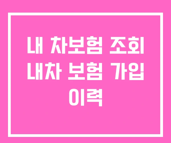 내 차보험 조회 내차 보험 가입 이력 내 차보험 조회 내차 보험 가입 이력