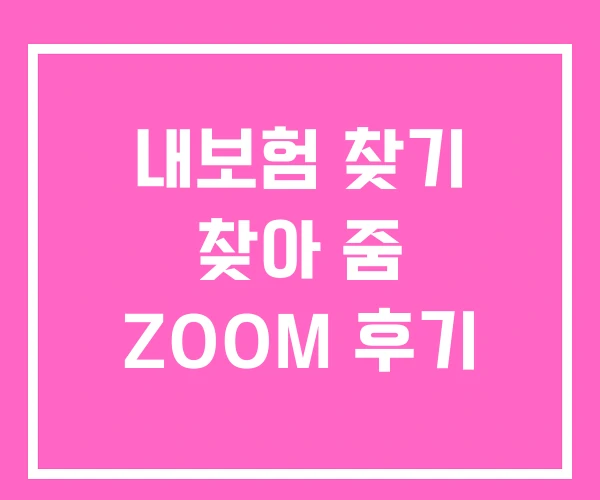 내보험 찾기 찾아 줌 ZOOM 후기 내보험 찾기 찾아 줌 ZOOM 후기