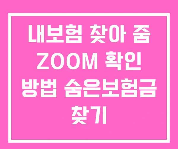 내보험 찾아 줌 ZOOM 확인 방법 숨은보험금 찾기 내보험 찾아 줌 ZOOM 확인 방법 숨은보험금 찾기