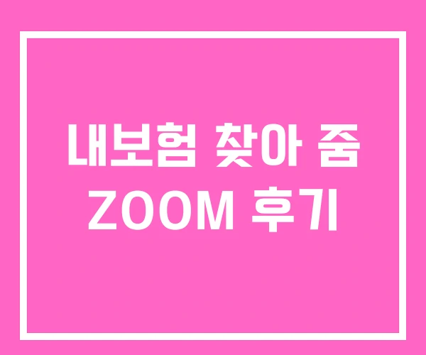 내보험 찾아 줌 ZOOM 후기 내보험 찾아 줌 ZOOM 후기