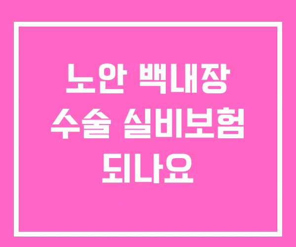 노안 백내장 수술 실비보험 되나요