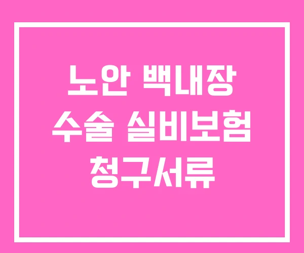 노안 백내장 수술 실비보험 청구서류