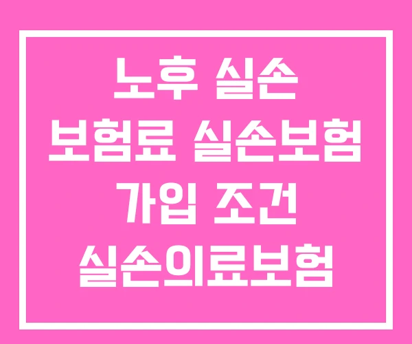 노후 실손 보험료 실손보험 가입 조건 실손의료보험 노후 실손 보험료 실손보험 가입 조건 실손의료보험