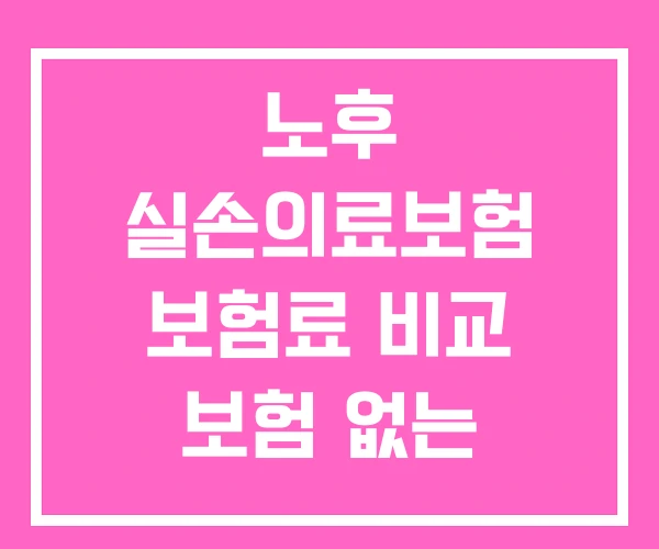 노후 실손의료보험 보험료 비교 보험 없는 부모님