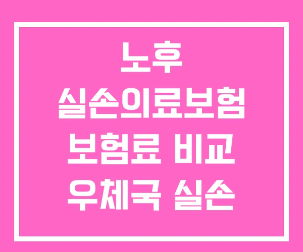 노후 실손의료보험 보험료 비교 우체국 실손 의료보험 노후 실손의료보험 보험료 비교 우체국 실손 의료보험