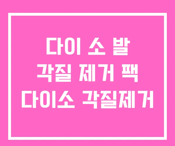 다이 소 발 각질 제거 팩 다이소 각질제거