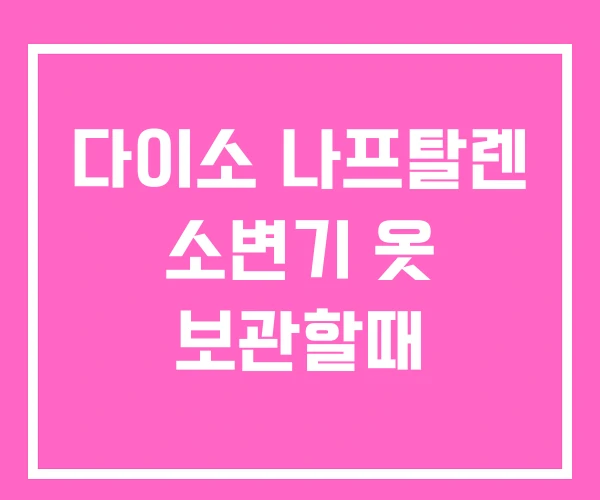 다이소 나프탈렌 소변기 옷 보관할때