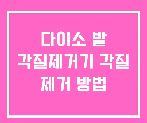 다이소 발 각질제거기 각질 제거 방법