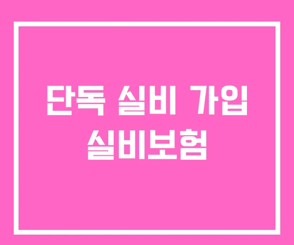 단독 실비 가입 실비보험 단독 실비 가입 실비보험