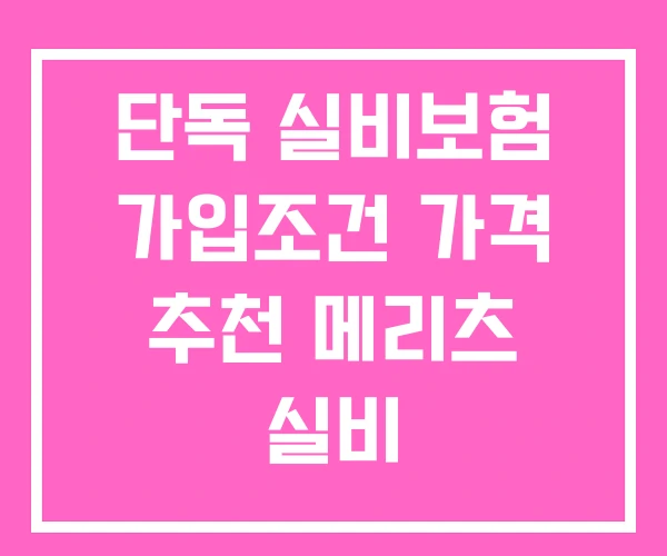 단독 실비보험 가입조건 가격 추천 메리츠 실비