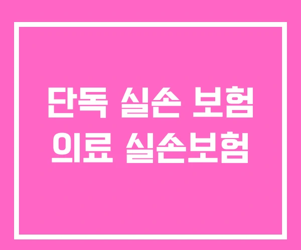 단독 실손 보험 의료 실손보험