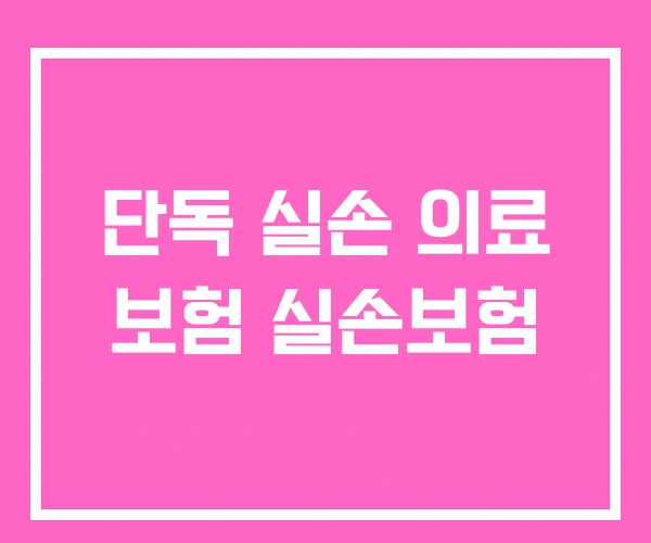 단독 실손 의료 보험 실손보험 단독 실손 의료 보험 실손보험