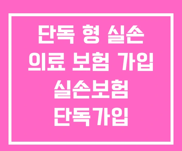 단독 형 실손 의료 보험 가입 실손보험 단독가입 단독 형 실손 의료 보험 가입 실손보험 단독가입