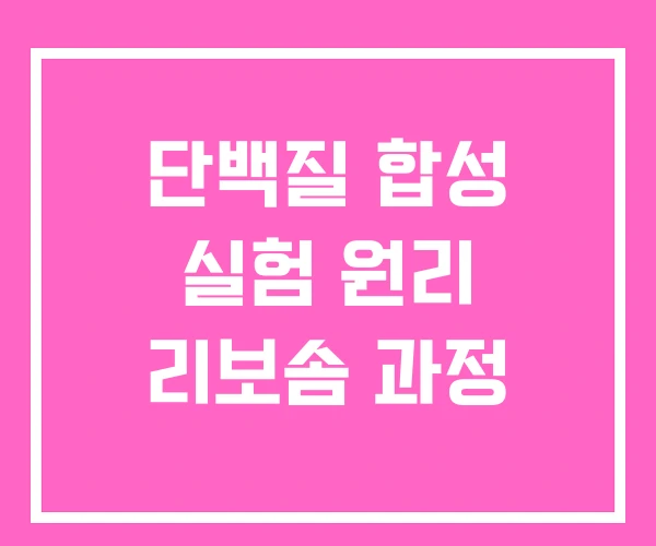 단백질 합성 실험 원리 리보솜 과정
