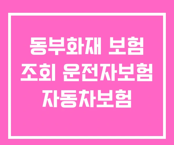 동부화재 보험 조회 운전자보험 자동차보험